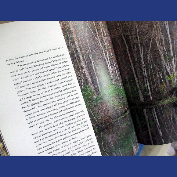 Book - Wetlands: The Web of Life, by Paul Rezendes and Paulette Roy - Picture 5 of 13